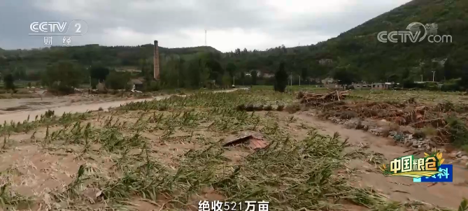 一日三千小生意（河南落地花生轻松日入3000）