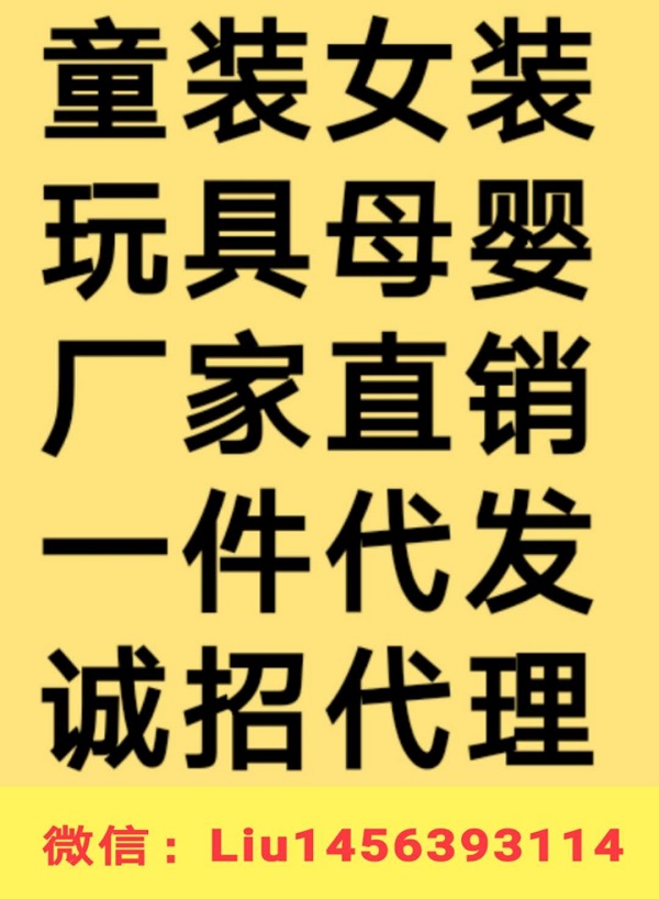 百种纸尿裤母婴玩具一件代发招代理 厂家直销