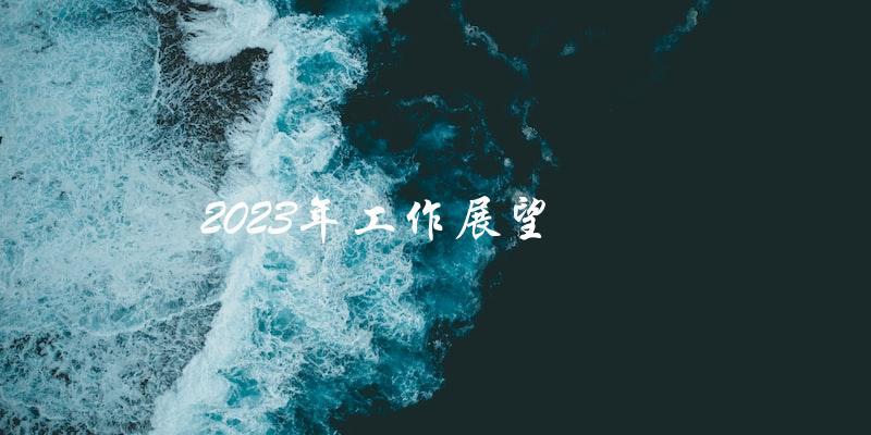 你的2023年工作展望是什么？